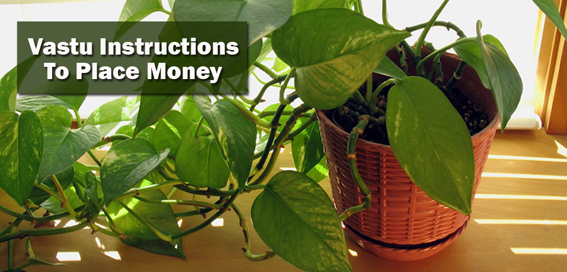 Vastu Instructions to Place Money Plant In Bedroom