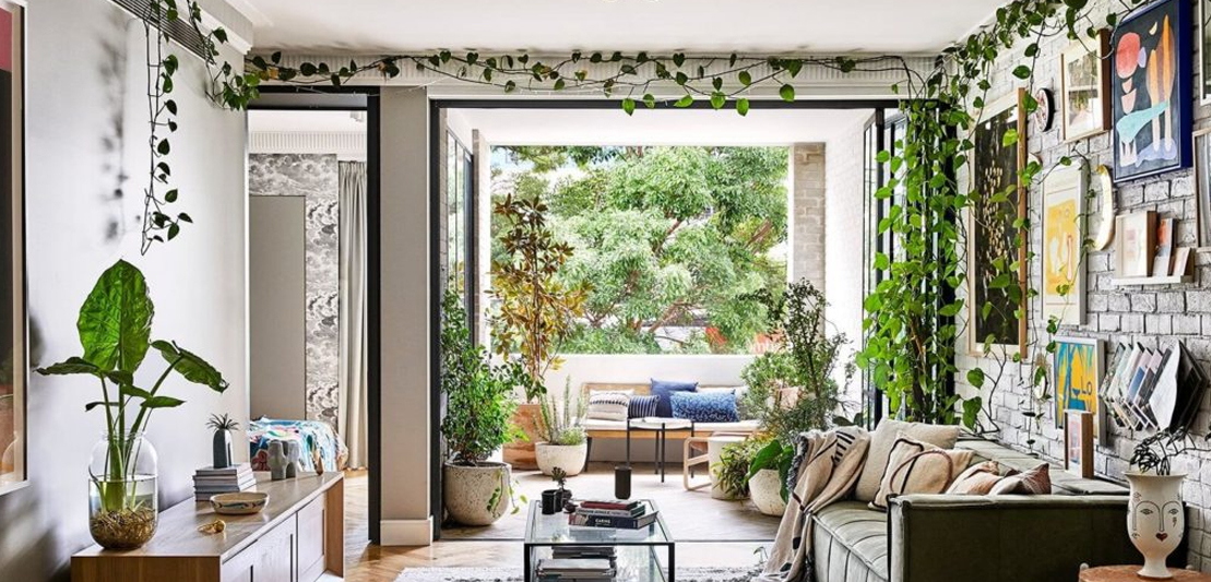 Natural Elegance: Adorning Your Home with Climbing Plants